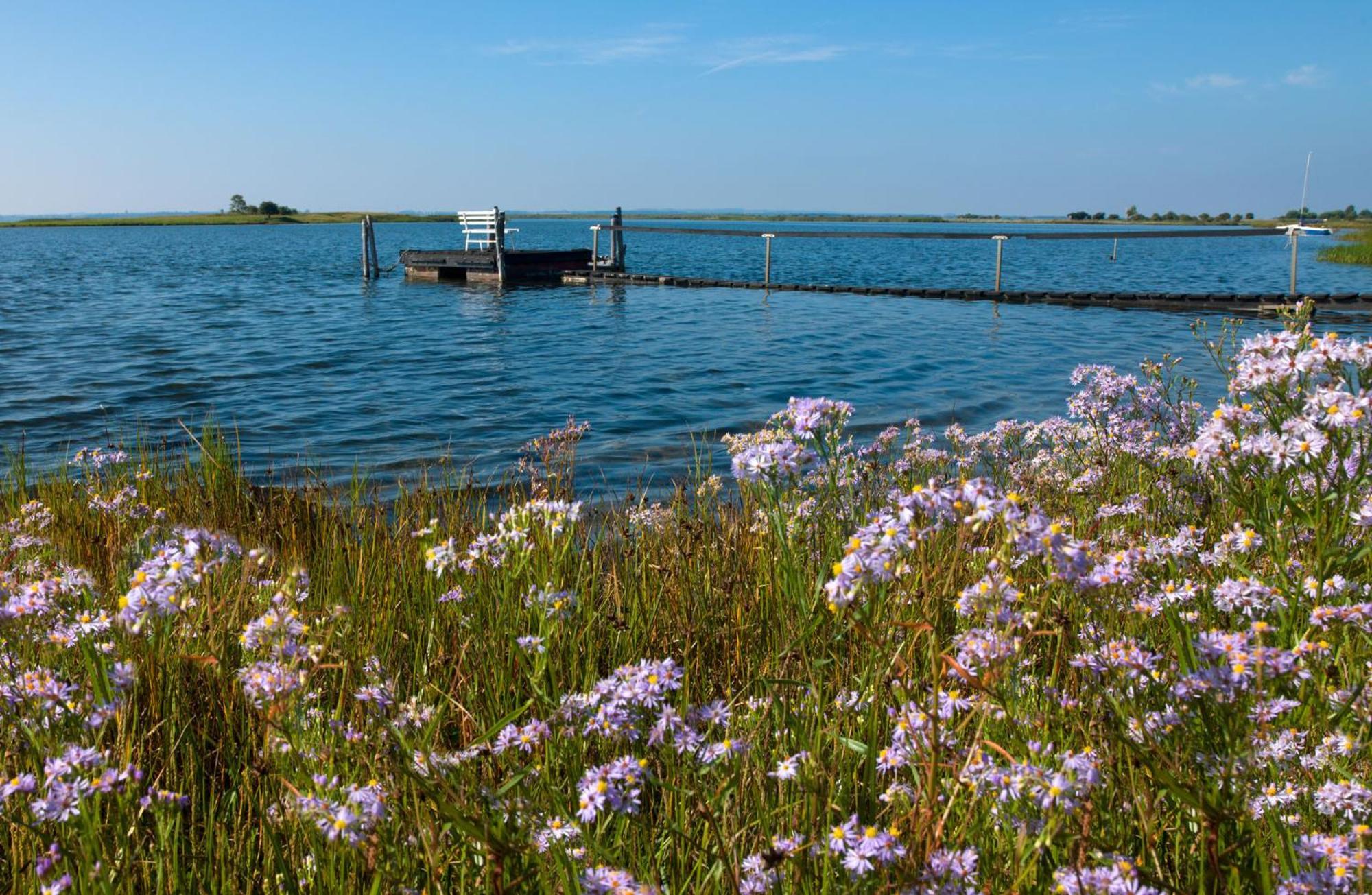 Haus Kulschewski Insel Poel Esterno foto