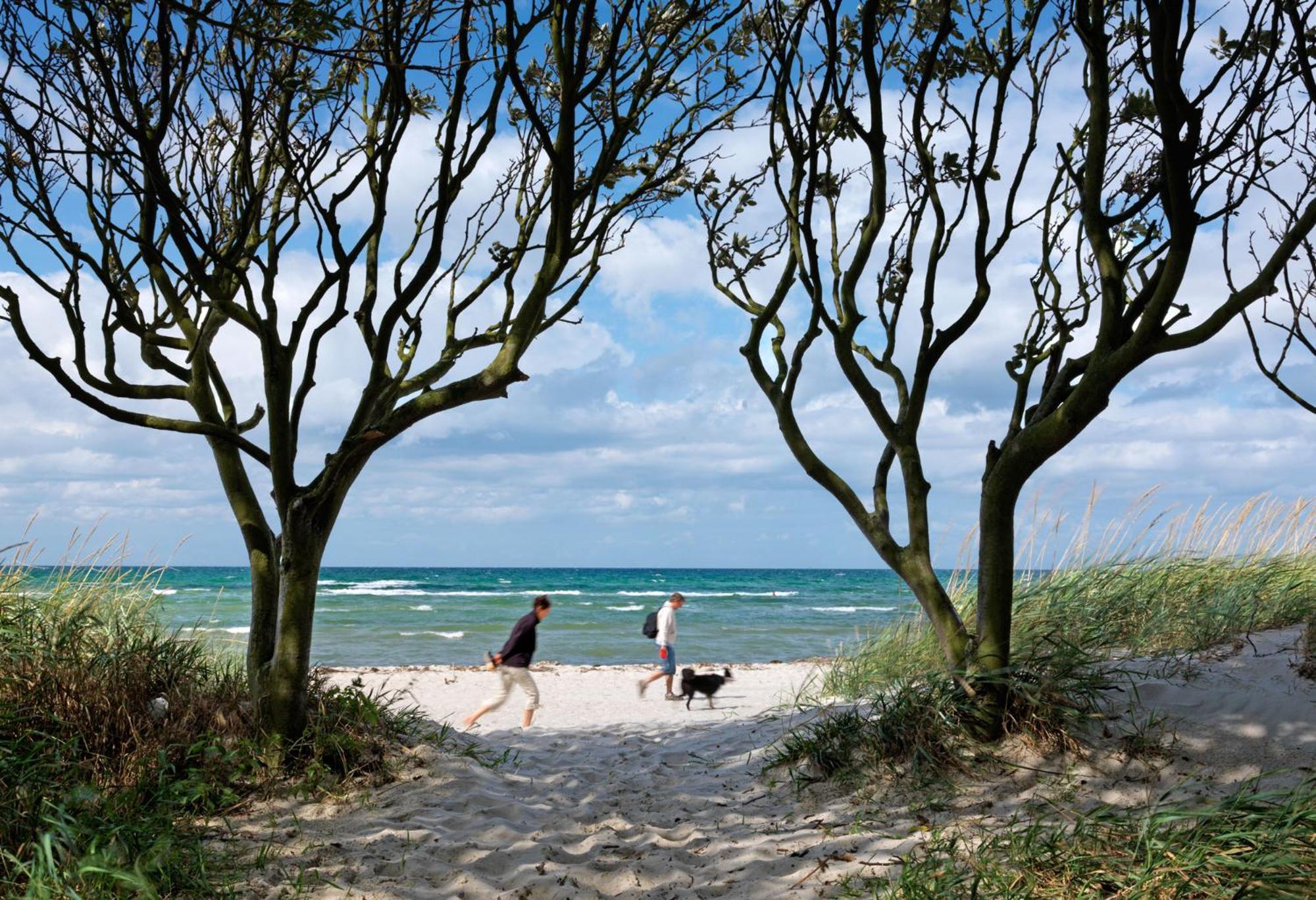 Haus Kulschewski Insel Poel Esterno foto
