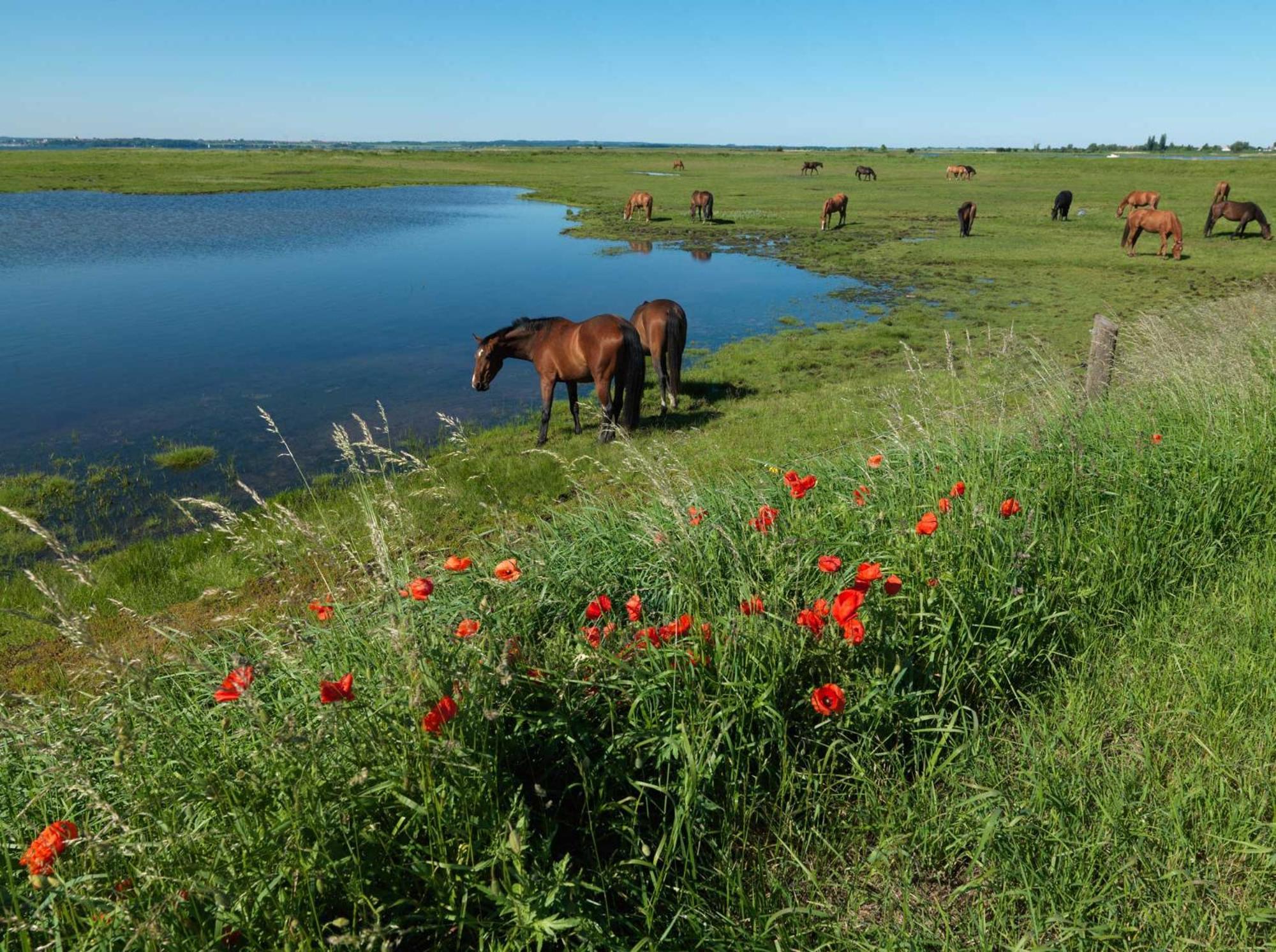 Haus Kulschewski Insel Poel Esterno foto